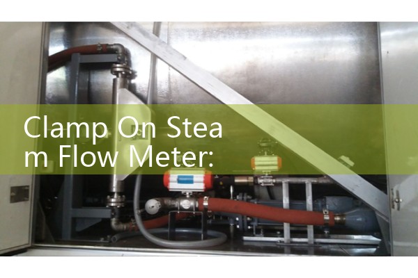 Clamp On Steam Flow Meter: Sourcing Non-Invasive Saturated Vapor Tech